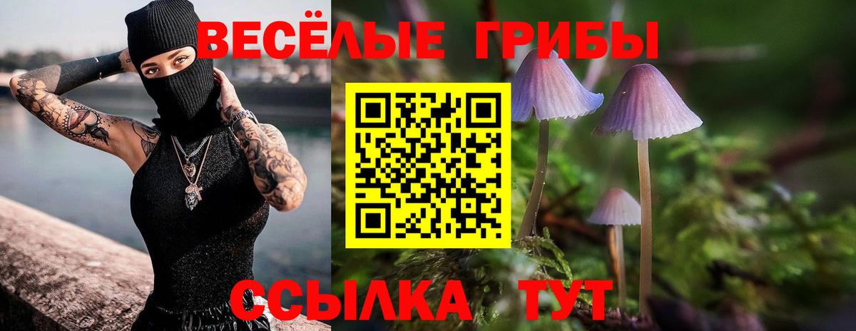 Псилоцибиновые грибы Psilocybine cubensis  Вход с VPN  Богородицк 